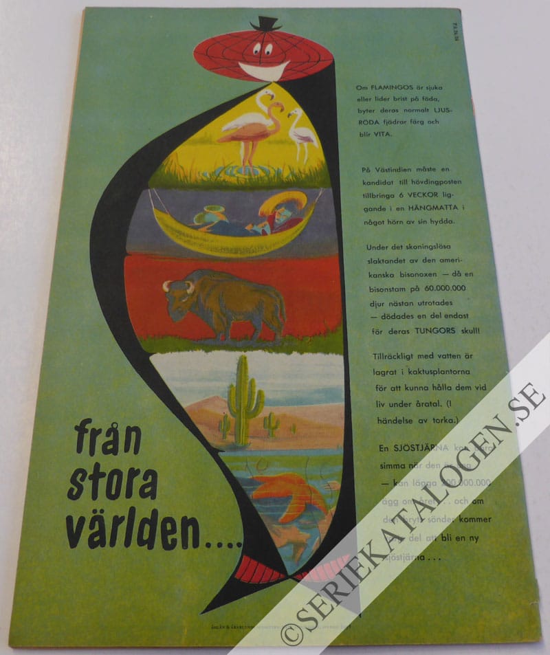 Baksida (1954)