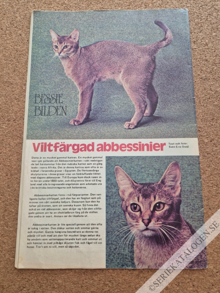 Baksida (1977)