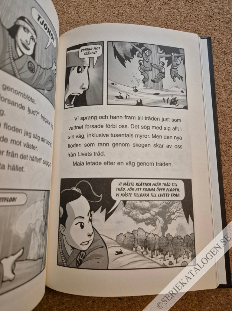 Exempel på Maktens sju hjul (2008)