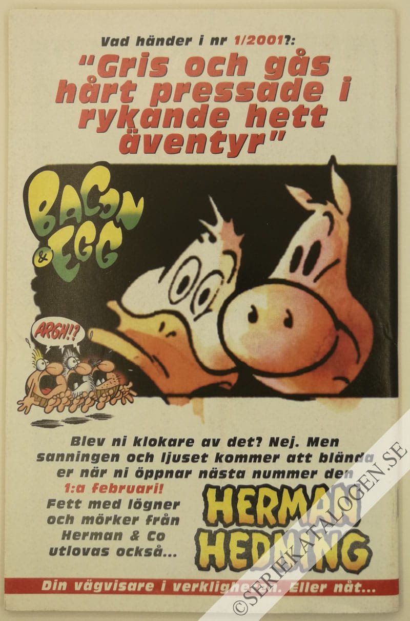 Baksida (2000)