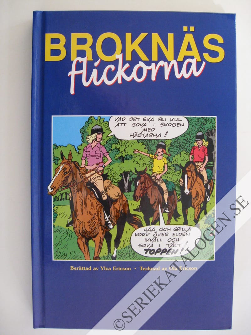 Framsida utan skyddsomslag (2003)