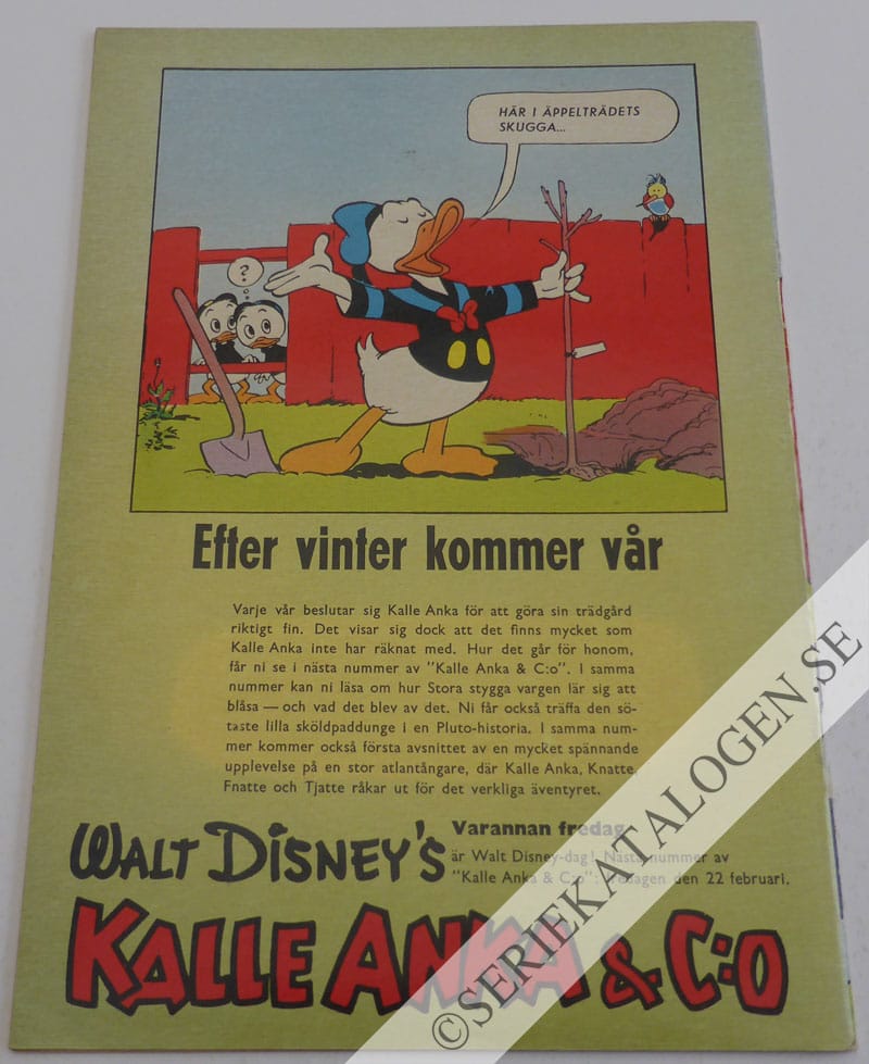 Baksida (1957)