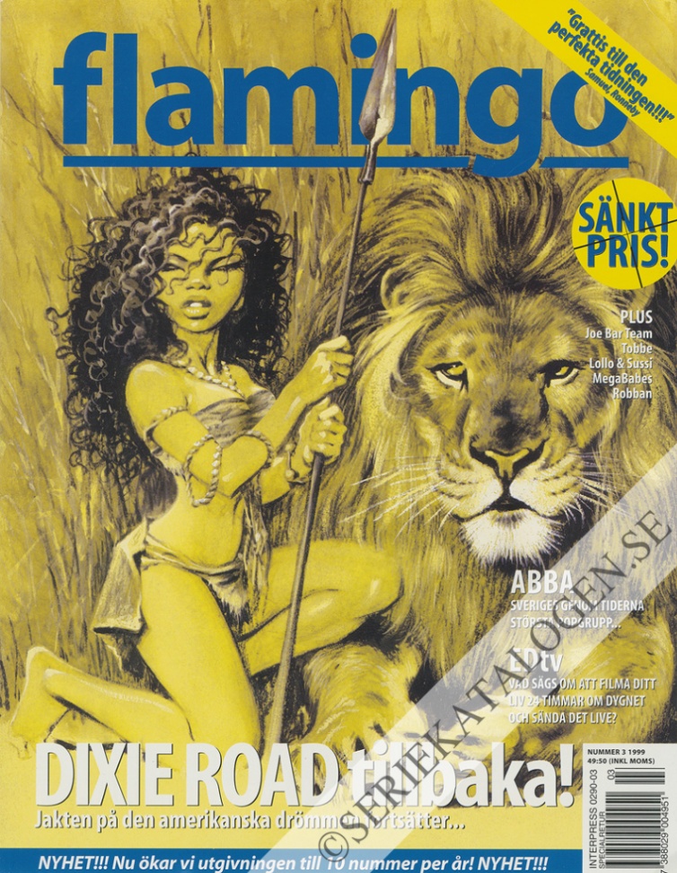 Framsida på Flamingo #3 (1999)