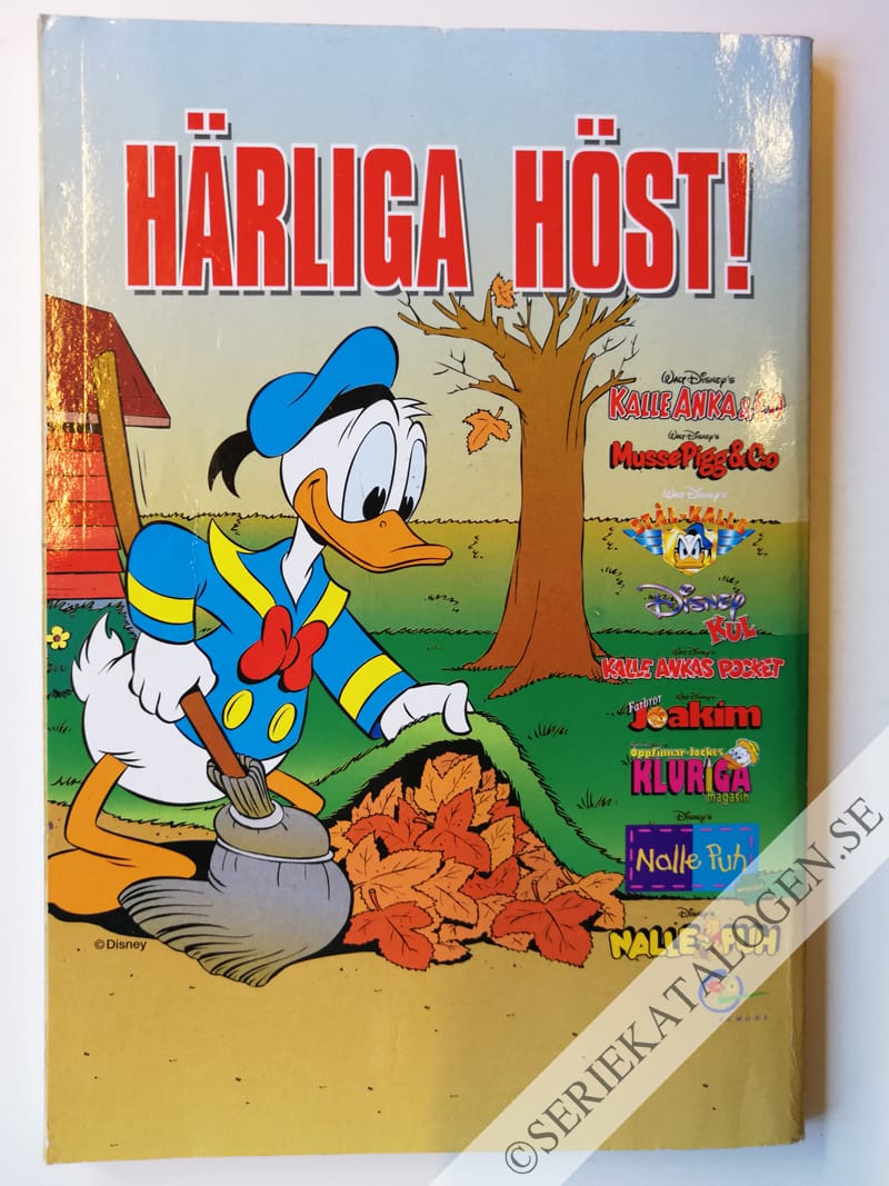 Baksida (1999)
