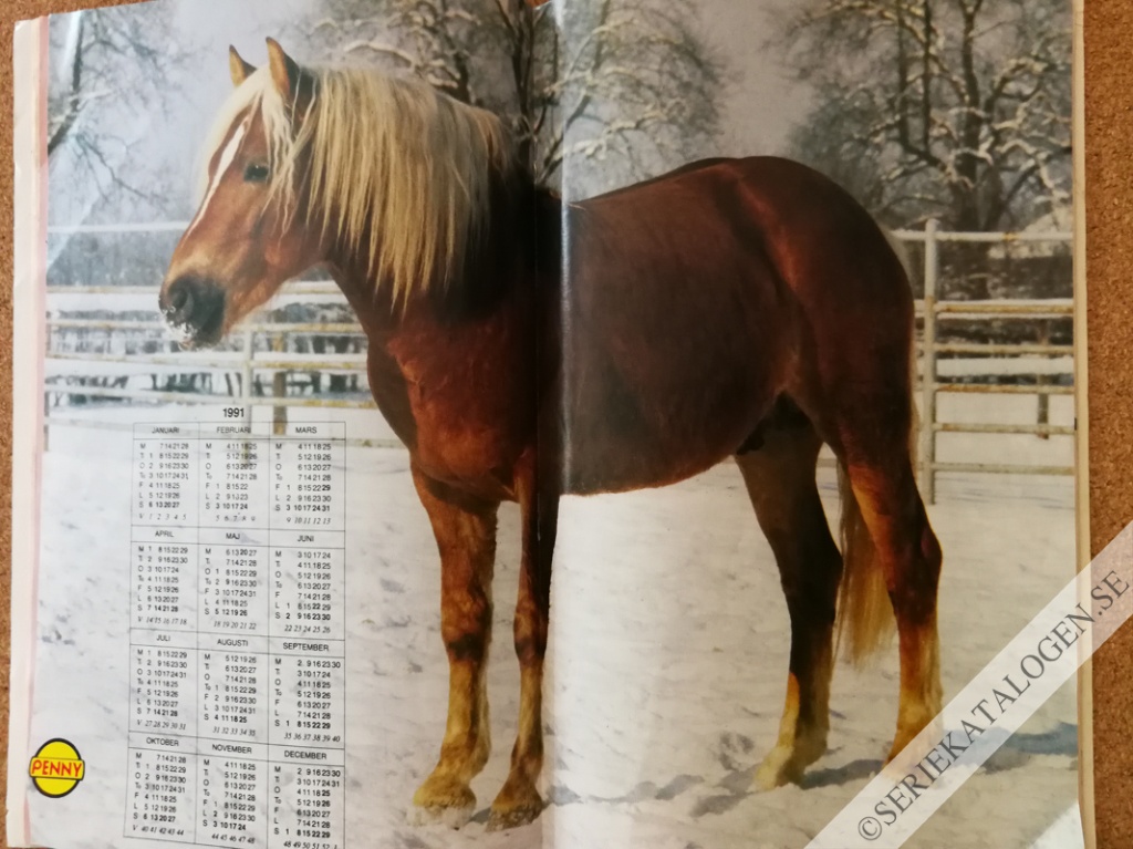 Bild (1990)