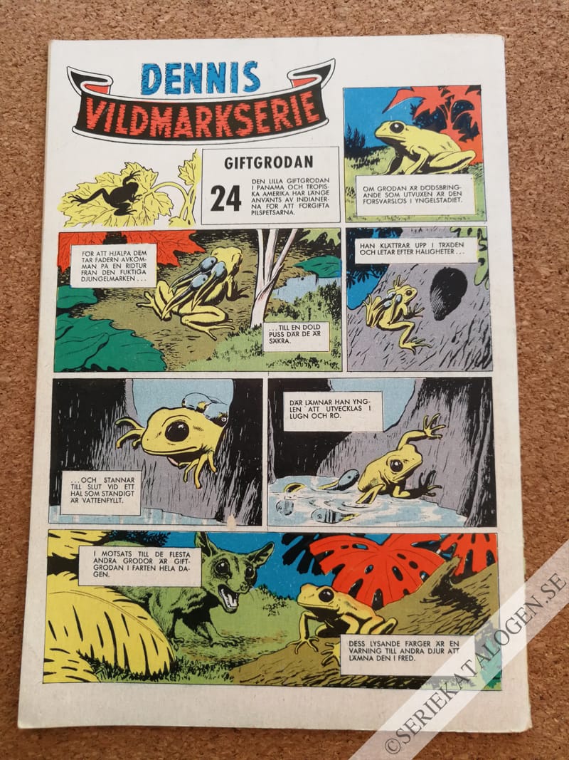 Baksida (1960)