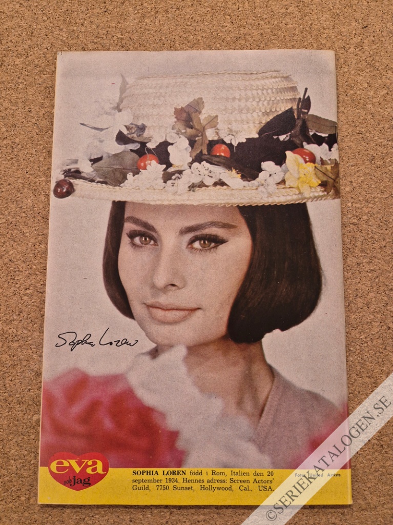 Baksida (1964)
