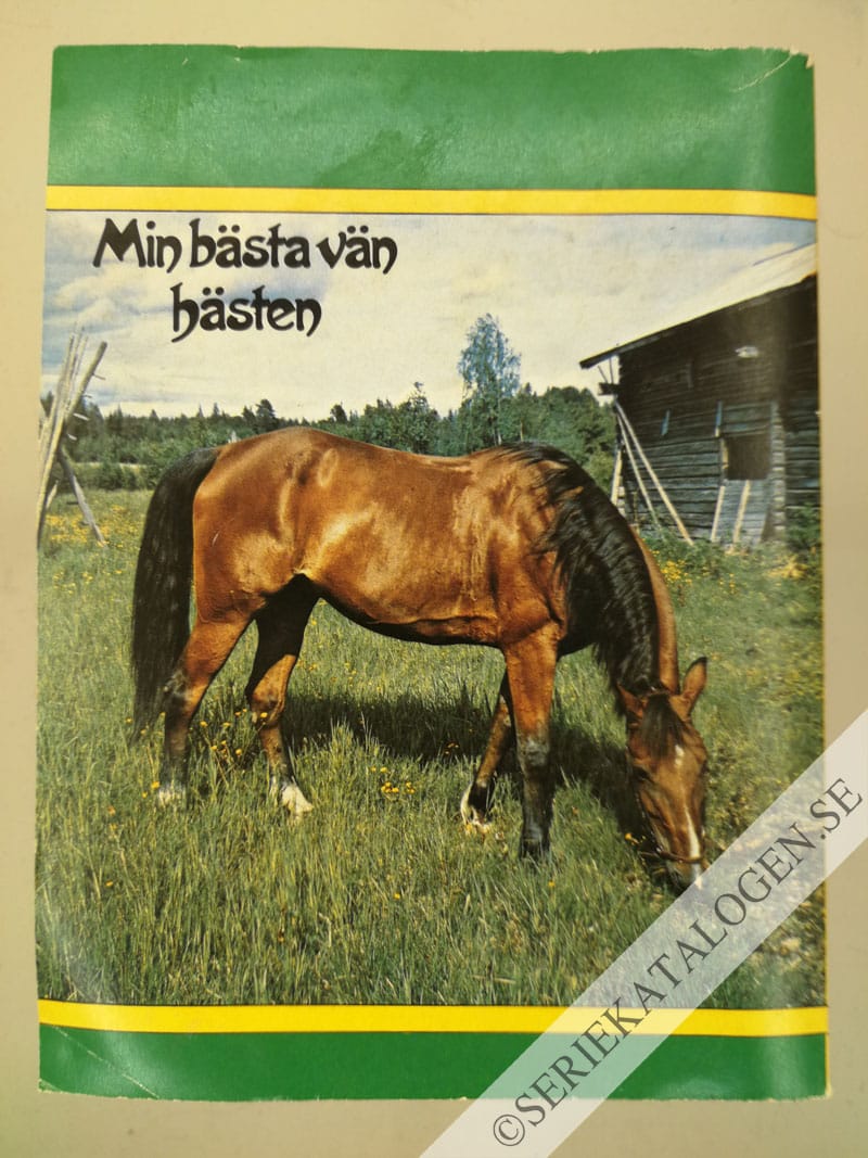 Baksida (1982)