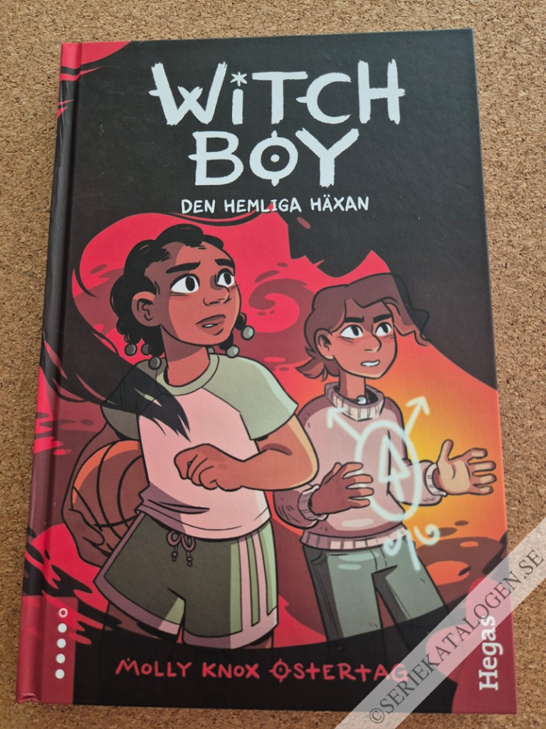 Framsida på Witchboy Den hemliga häxan (2019)