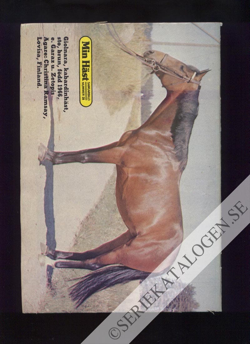 Baksida (1974)