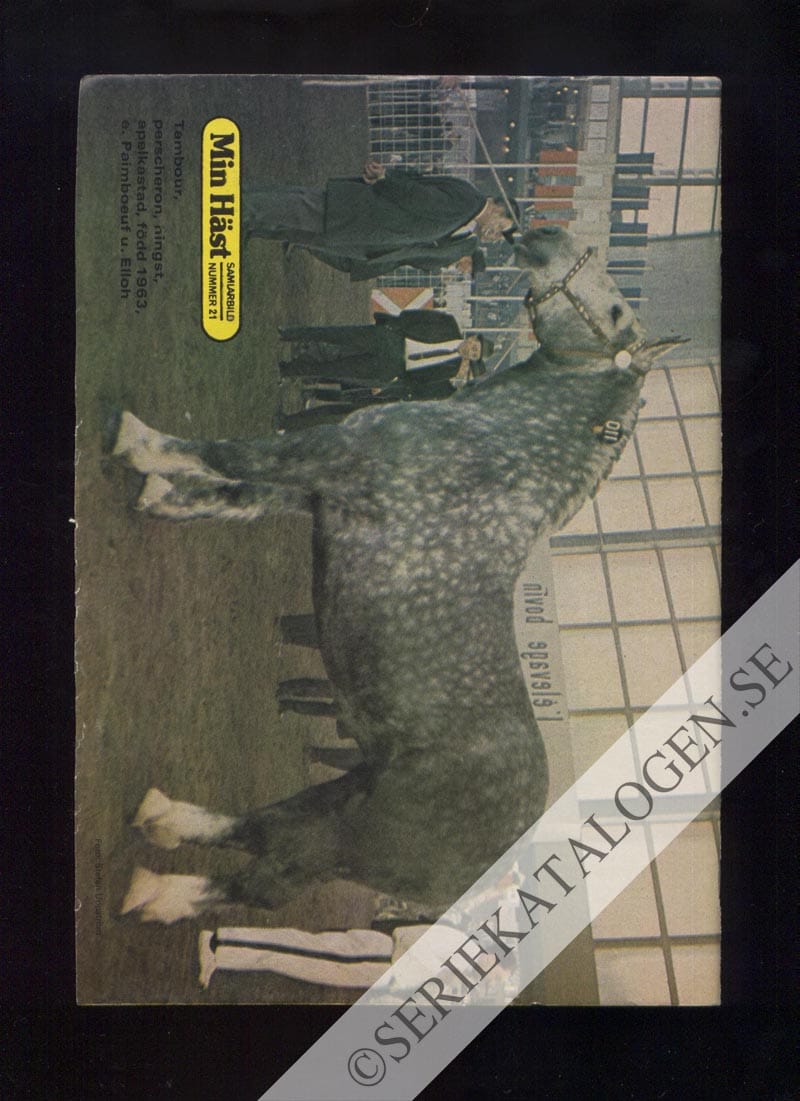 Baksida (1974)