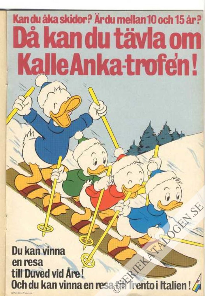 Bild (1965)