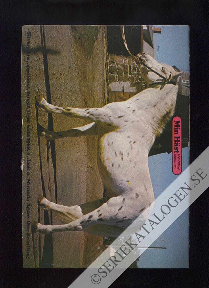 Baksida (1974)