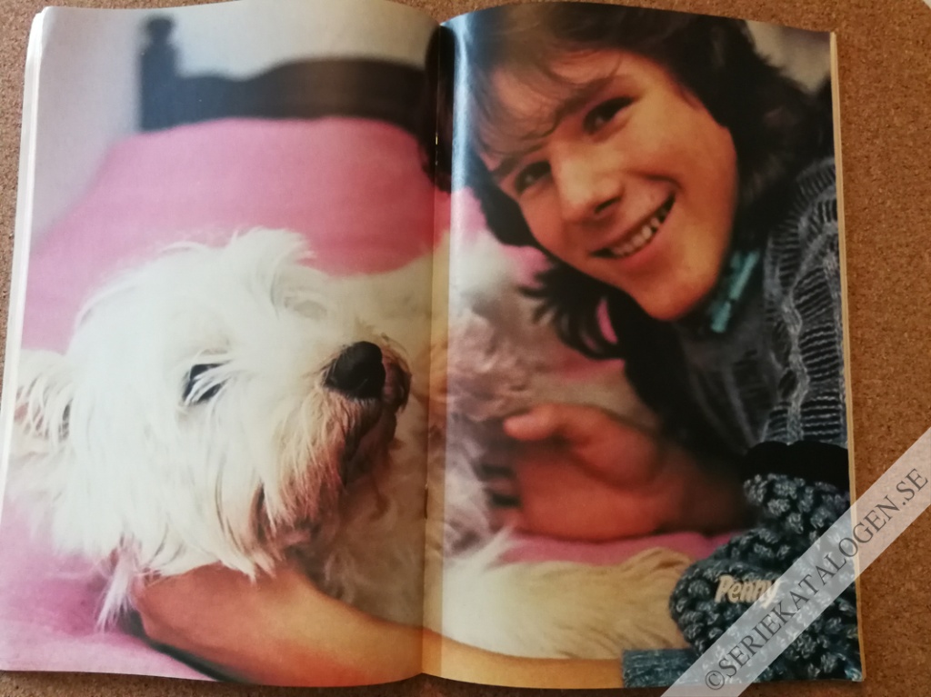 Bild (1986)
