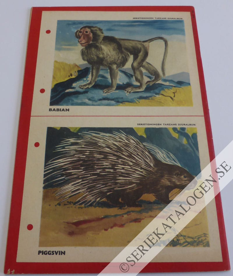 Baksida (1953)