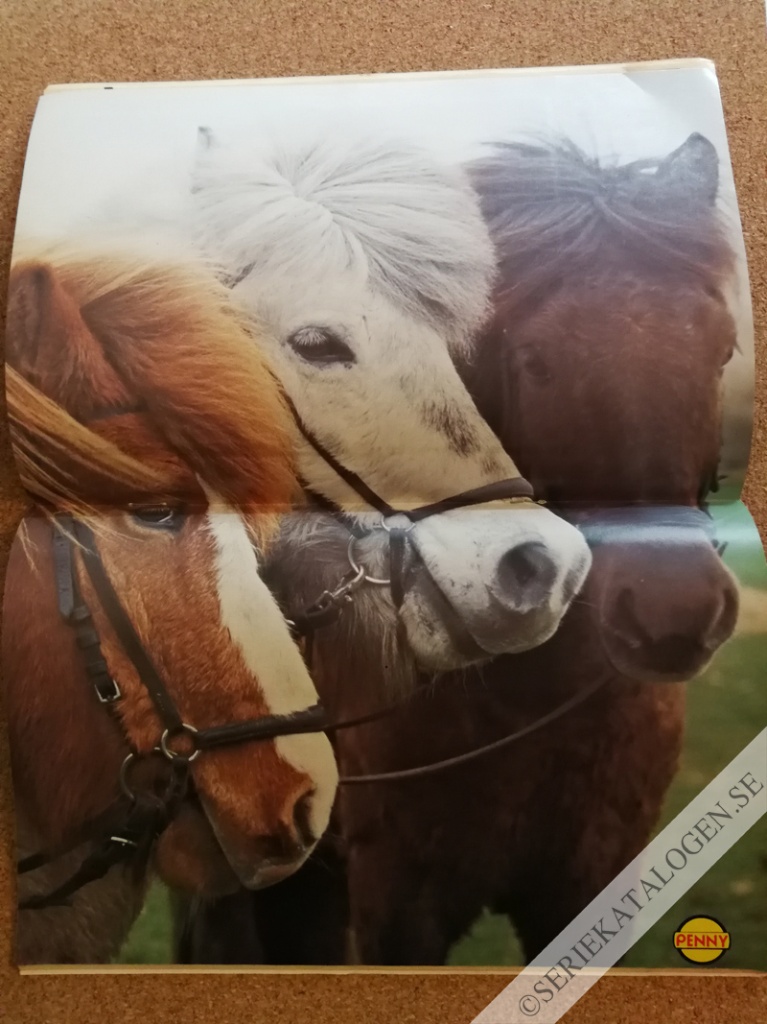 Bild (1986)