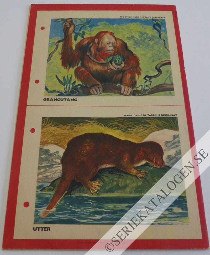 Baksida (1953)