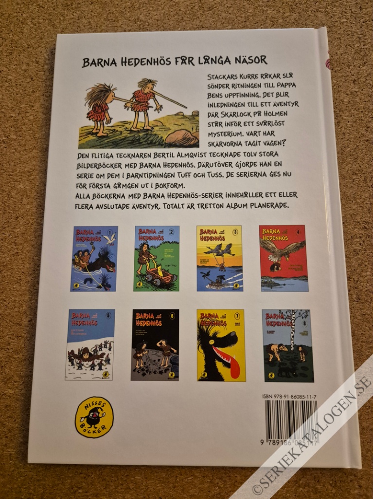 Baksida på Mysteriet med den sönderslagna skiffertavlan (2010)