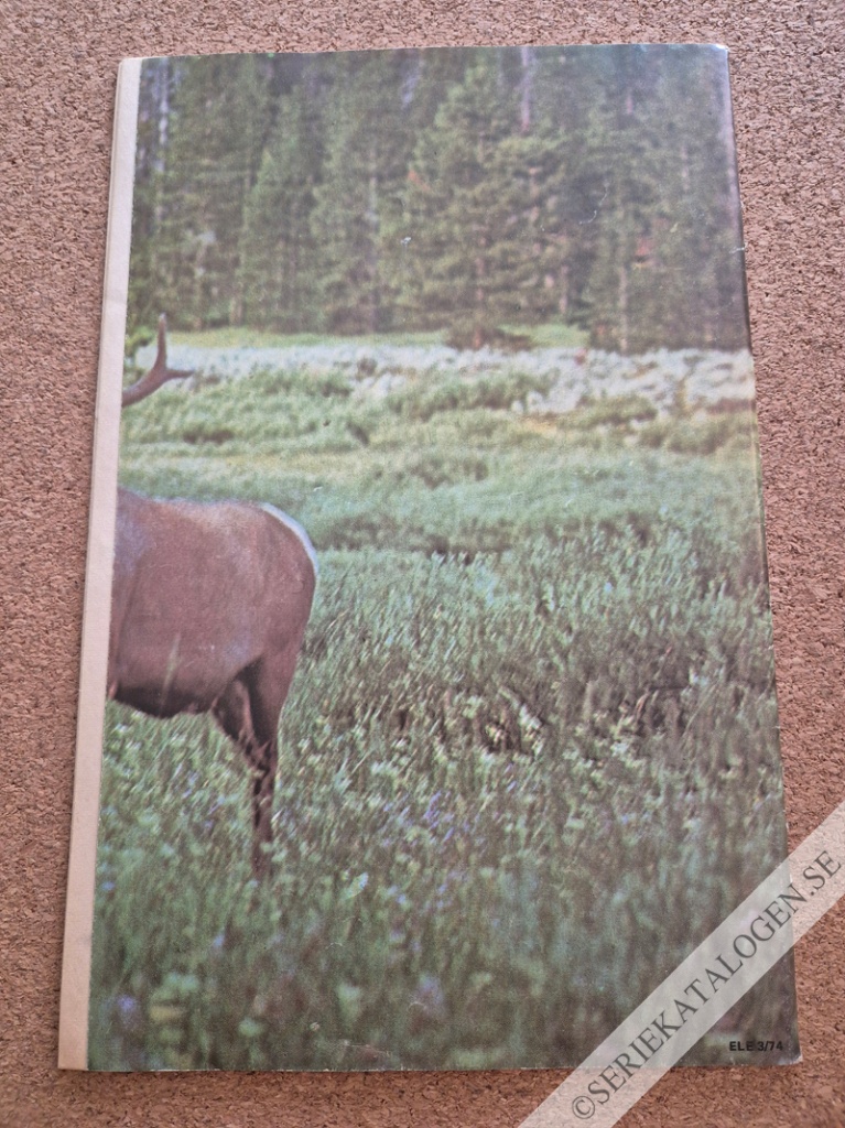 Baksida (1974)