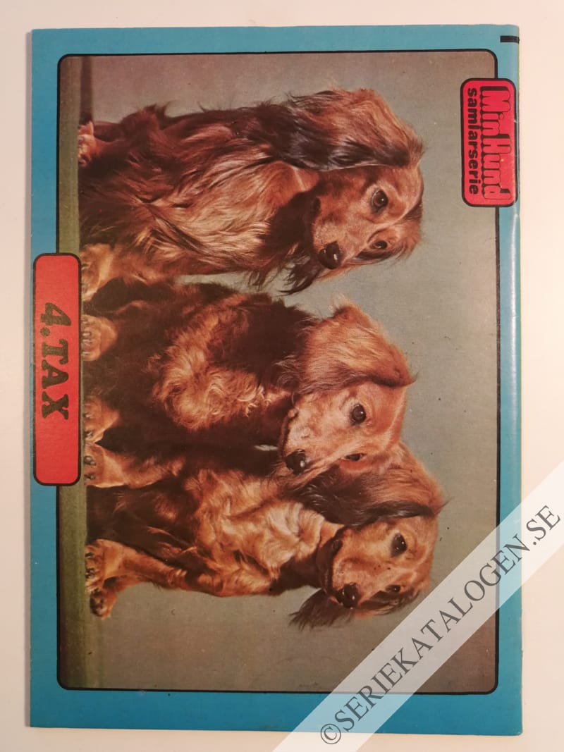 Baksida (1974)