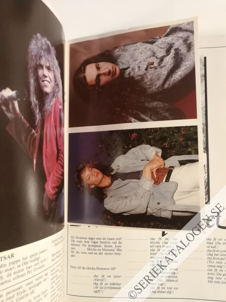 Bild (1987)