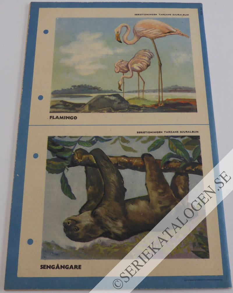 Baksida (1952)