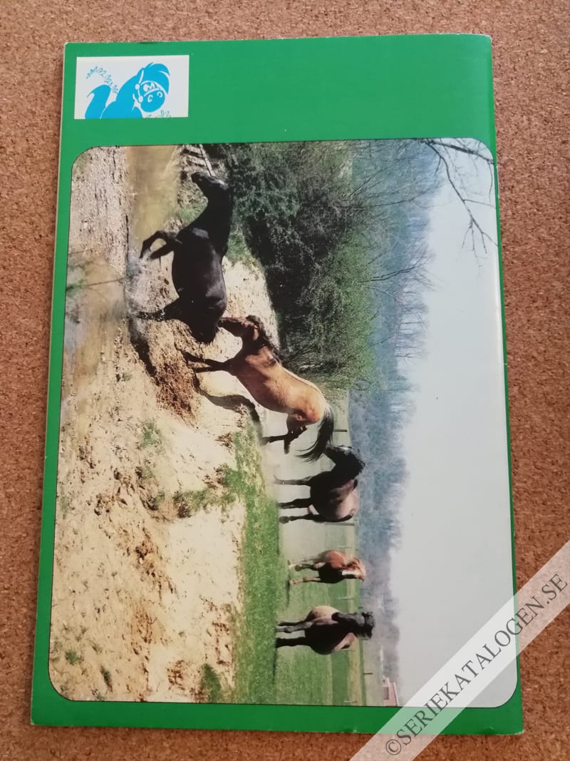 Baksida (1994)