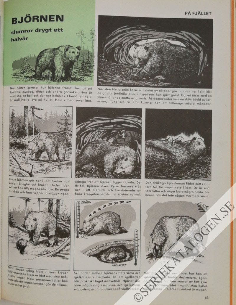 Exempel på Djurens fantastiska värld (1969)