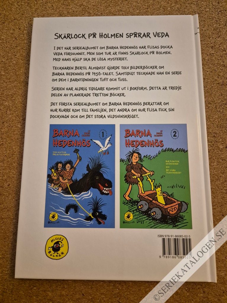 Baksida på Mysteriet med den försvunna trädockan (2009)