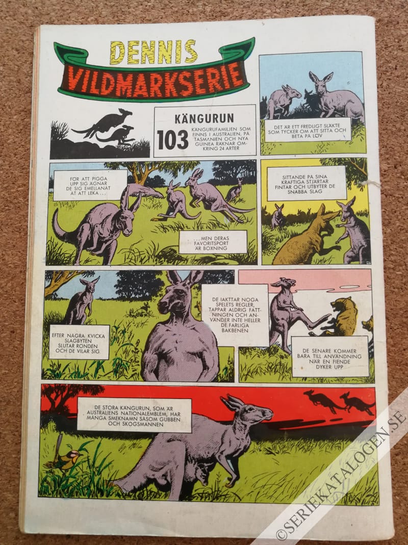 Baksida (1963)