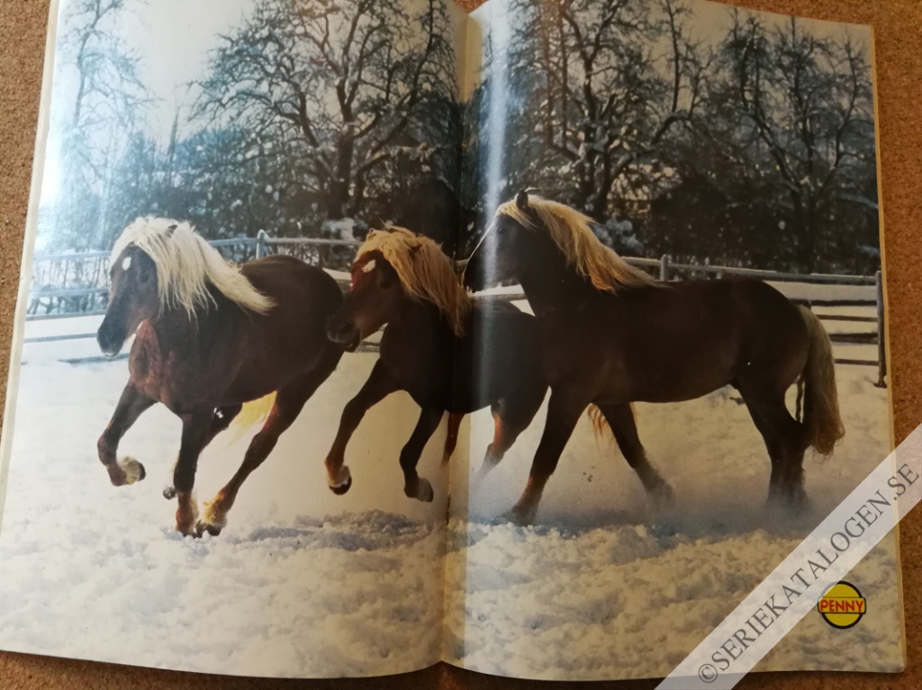 Bild (1986)