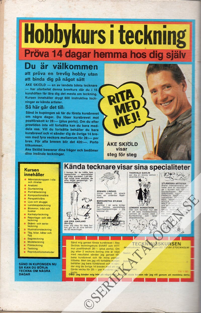 Baksida (1980)