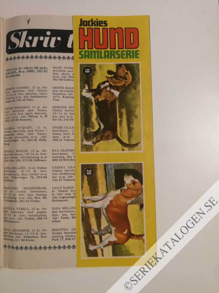 Bild (1971)