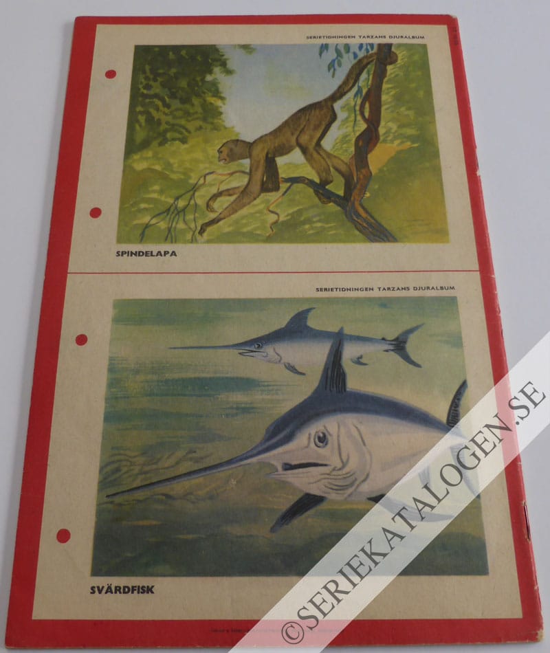 Baksida (1952)
