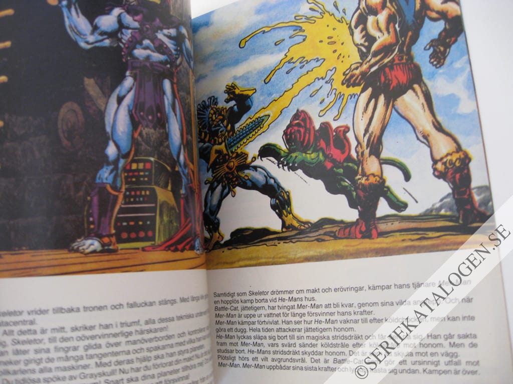 Exempel på Kampen om Castle Grayskull (1982)