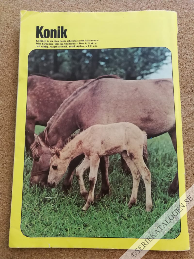 Baksida (1985)