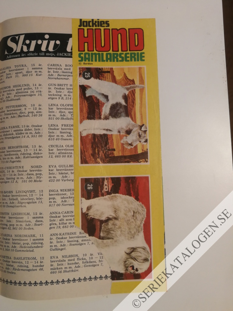Bild (1971)