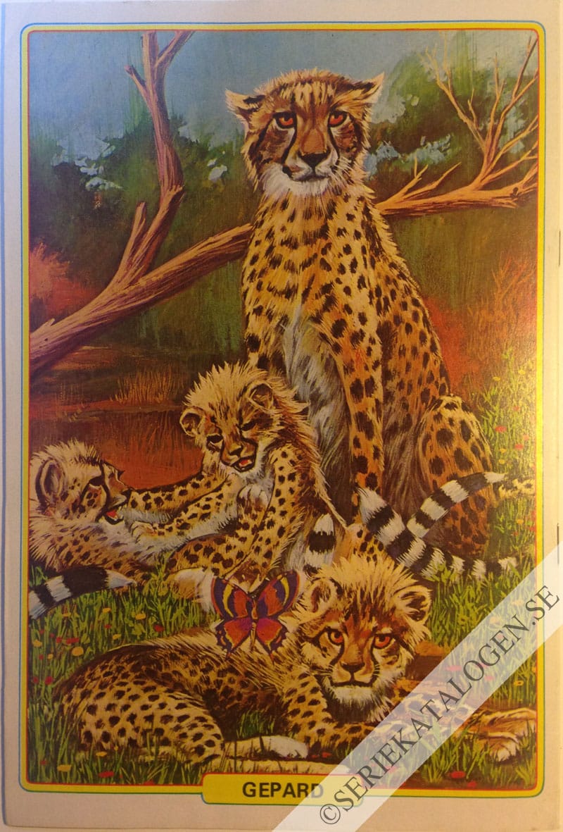 Baksida (1981)