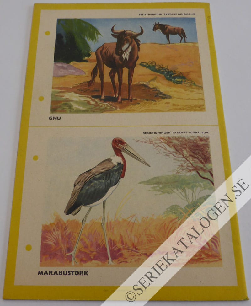 Baksida (1952)