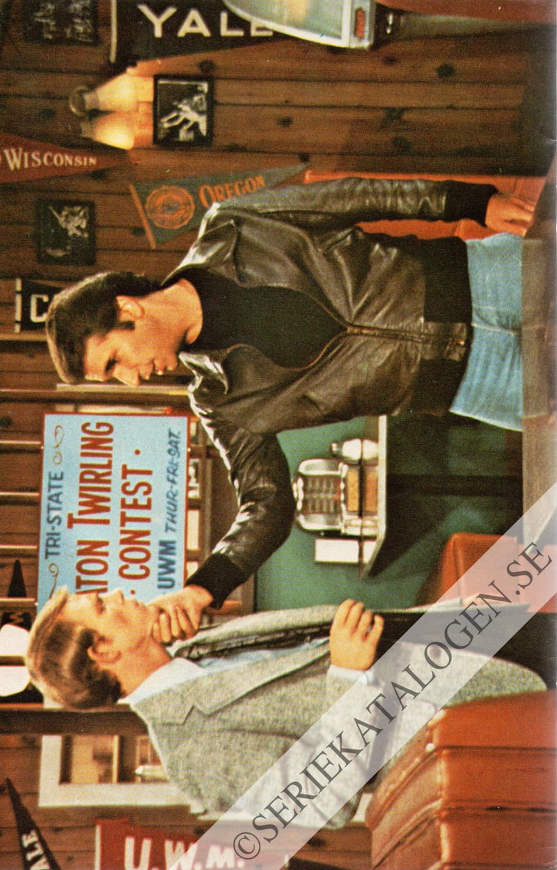 Baksida (1981)