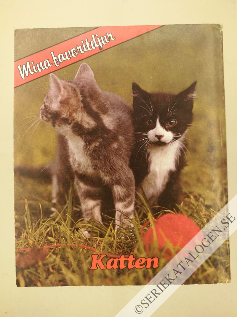 Baksida (1981)