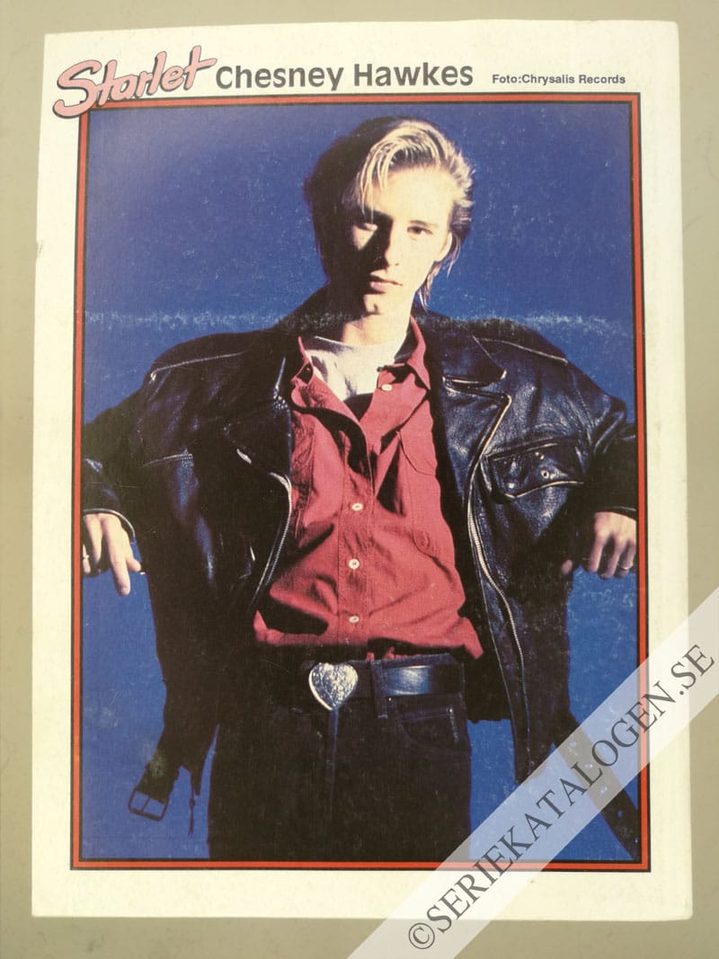 Baksida (1991)