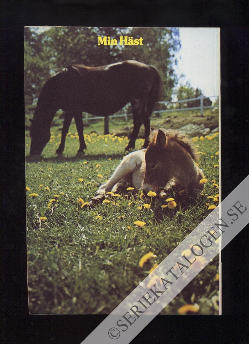 Baksida (1973)