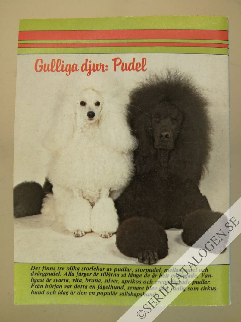 Baksida (1983)