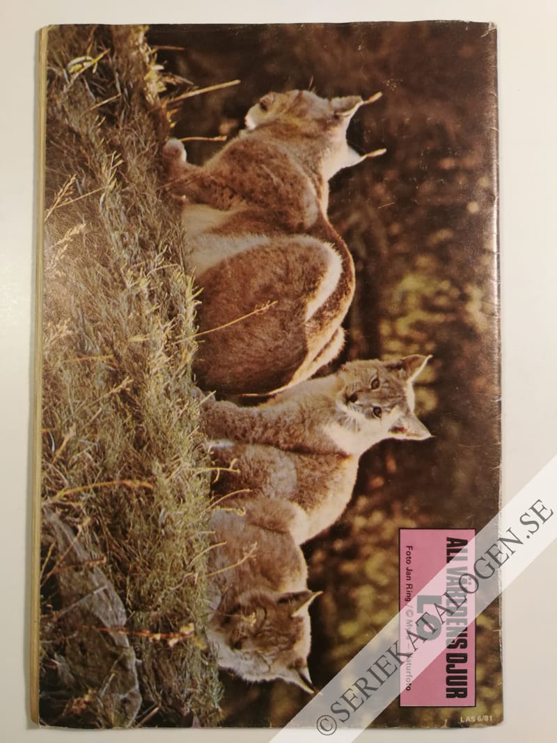 Baksida (1981)