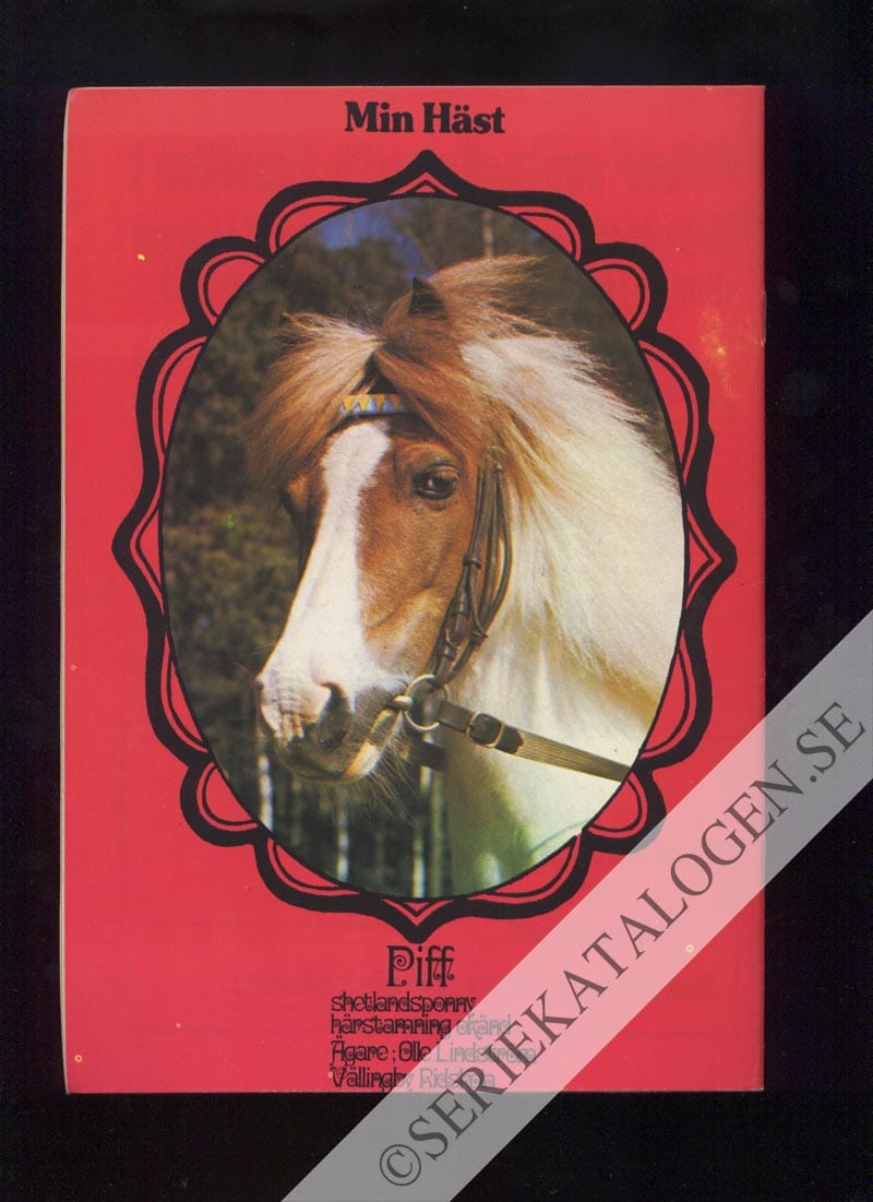 Baksida (1973)
