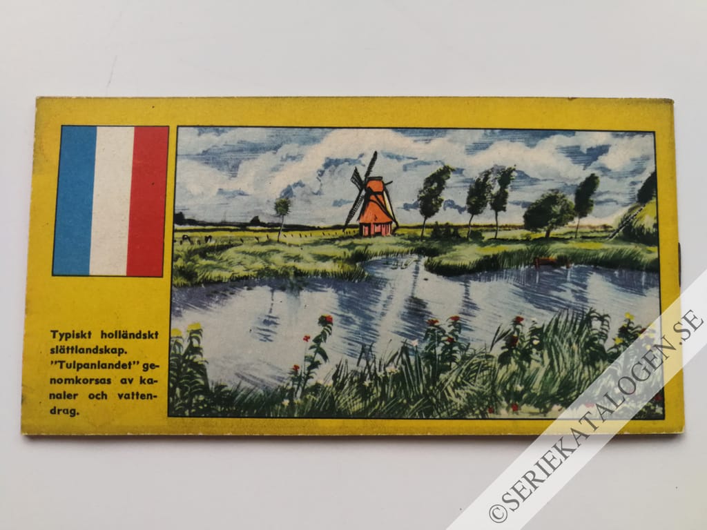 Baksida (1954)