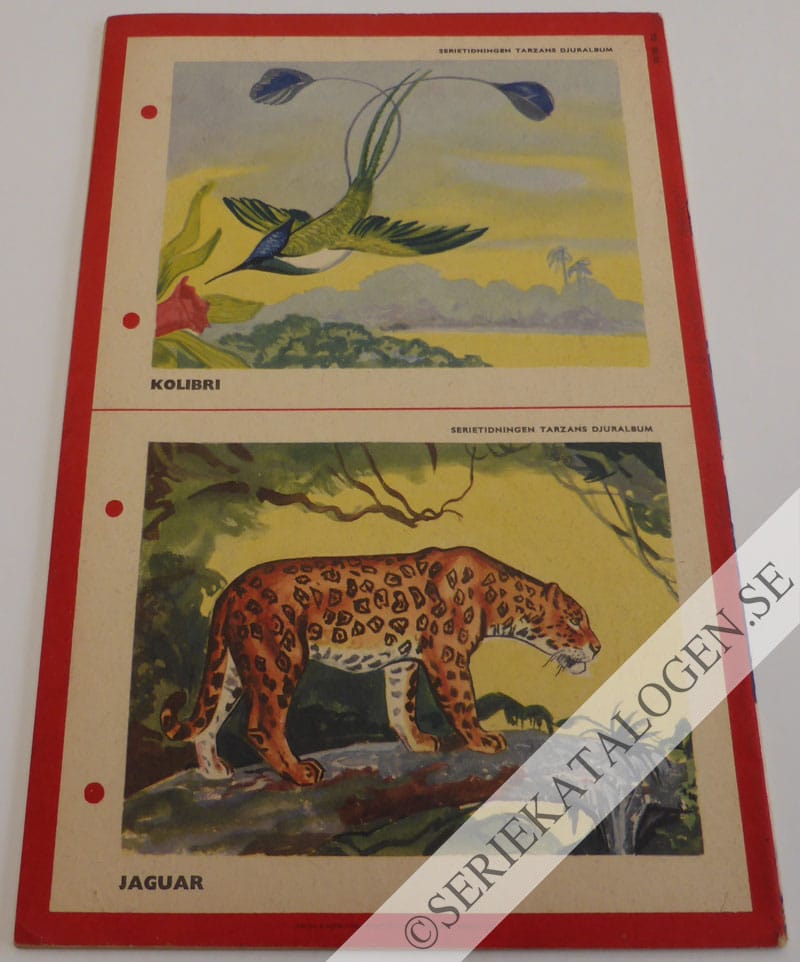 Baksida (1953)