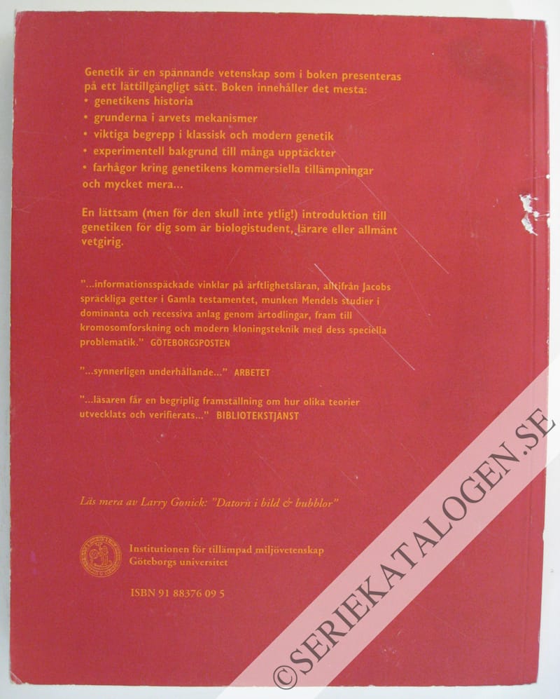 Baksida (1996)