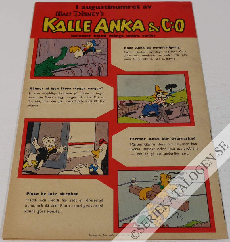 Baksida på Kalle Anka lever lägerliv (1954)